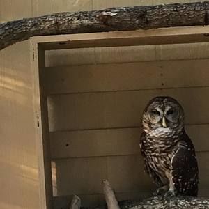 Meet your Posher, Ignacio